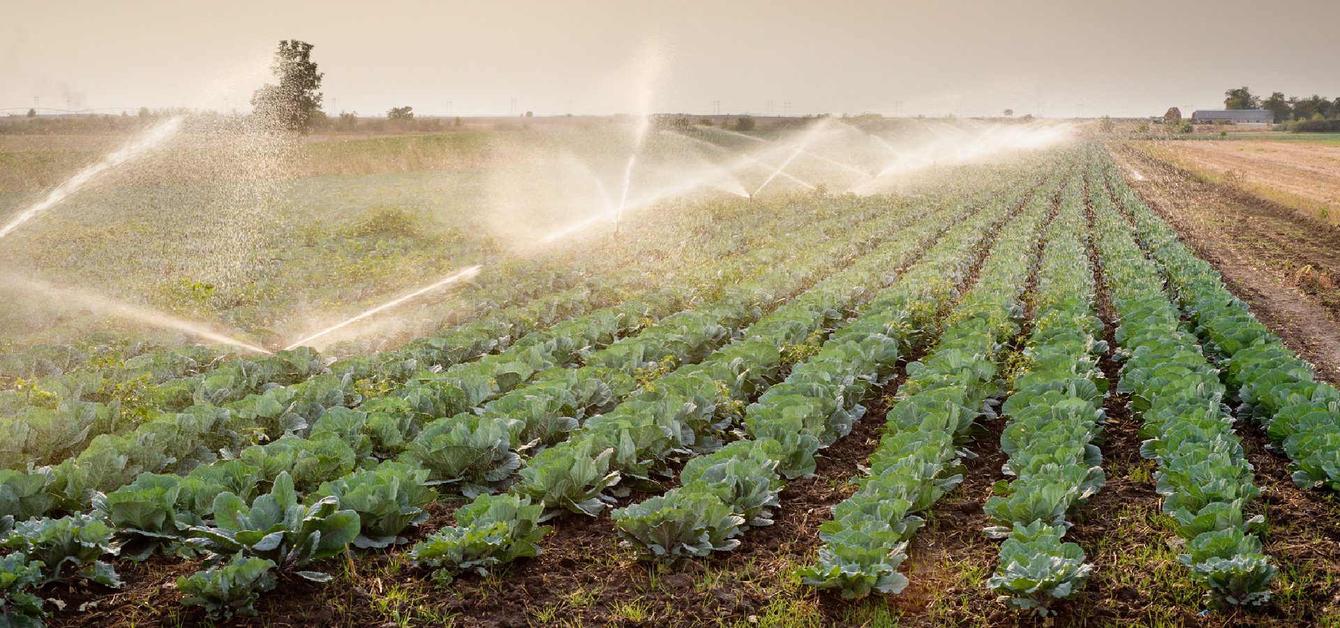 Beregeningsbuizen & irrigatiesystemen | PE-LD & PE-HD oplossingen